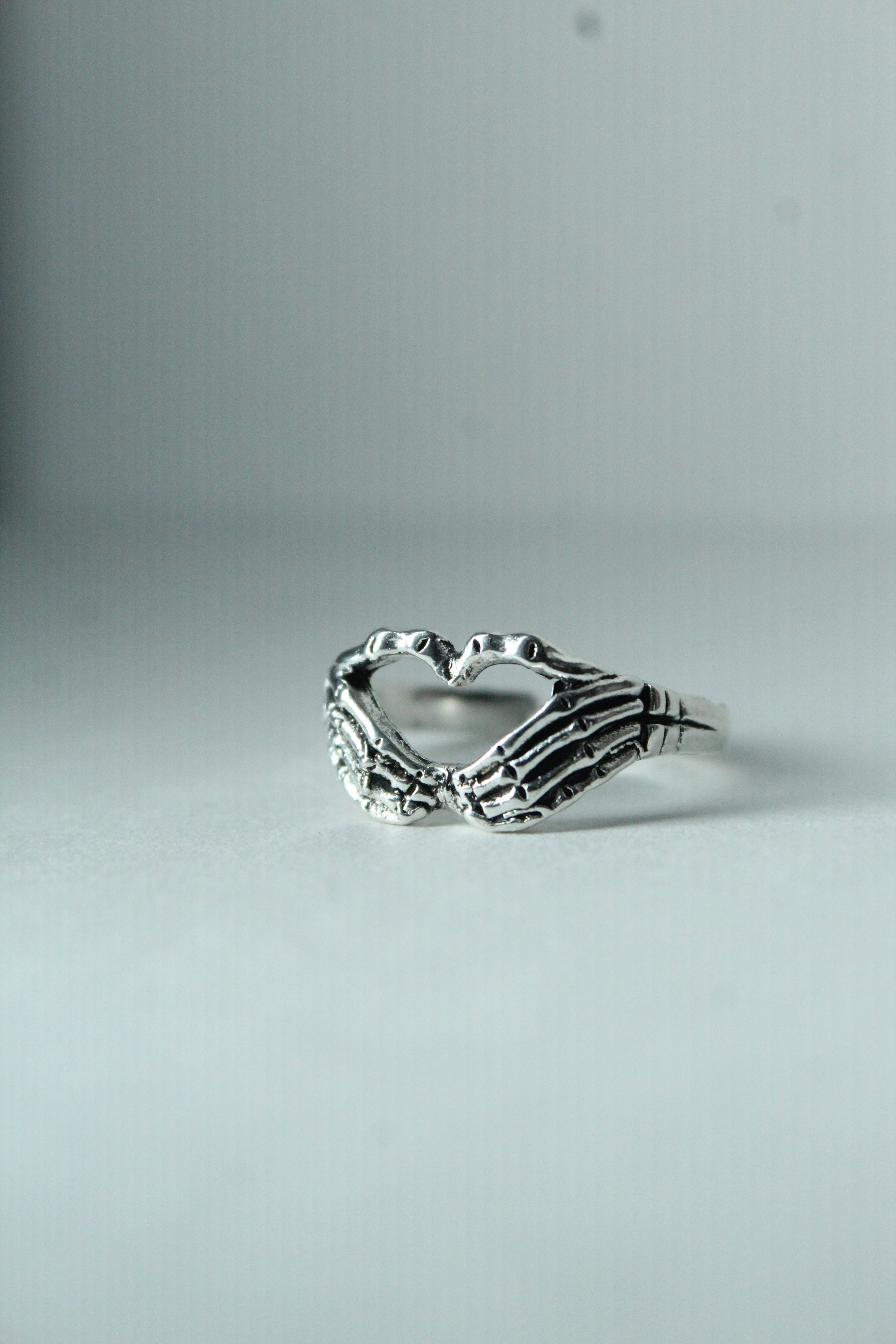 Skeleton heart